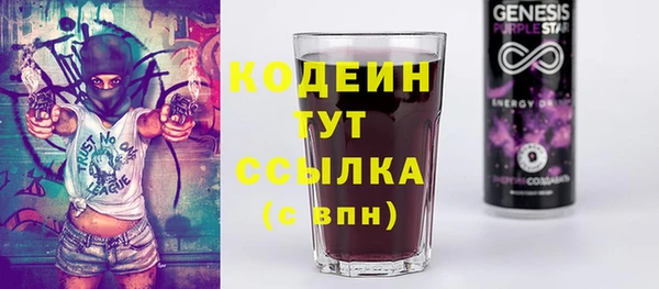 таблы Бикин