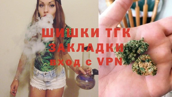 трава Аркадак